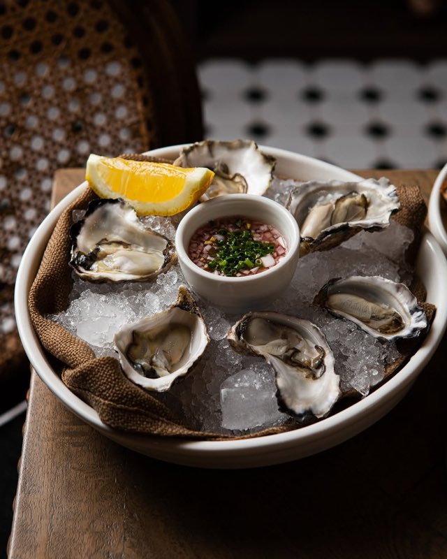 Fresh oysters on ice at South City Wine